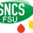 SNCS-FSU Inria