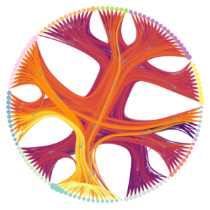 Inverse Complexity Lab